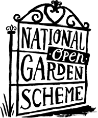 NGS logo
