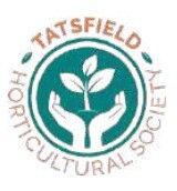 THS Logo