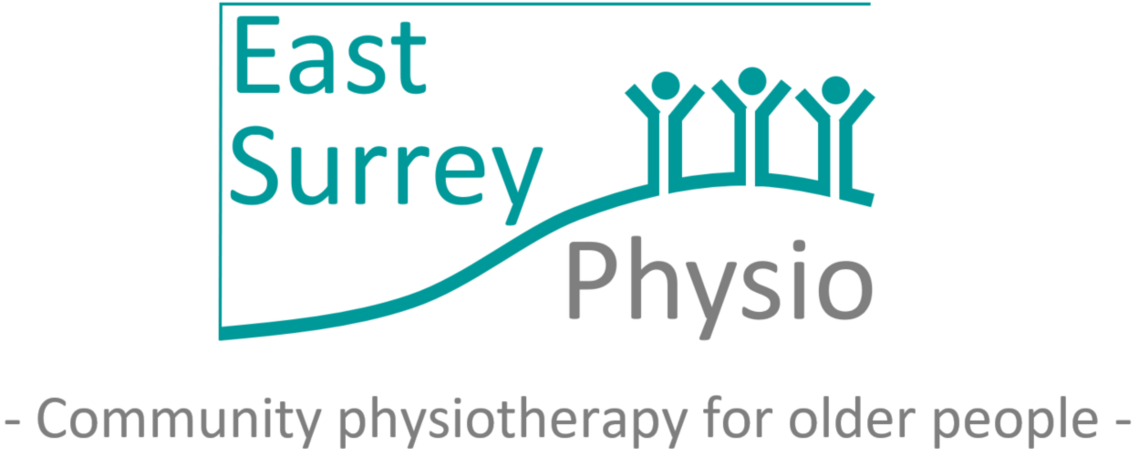 ES Physio logo