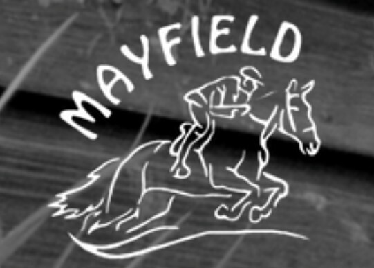 Mayfield Horses